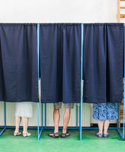 Komosa: Wybory do Europarlamentu 2019. Już wszystko jasne, inteligenci mają odpowiedź, dlaczego wygrał PiS (OPINIA)