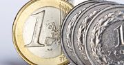 Polska waluta pod presją. Europejski Bank Centralny rozdaje karty