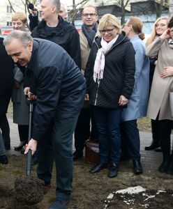 Wpierw posadzili brzozy. Kilkanaście dni później postanowiono je wykopać