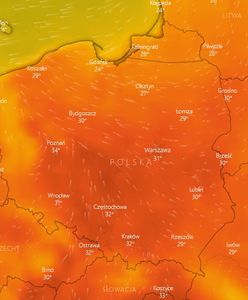 Fala upałów 2019: Nadchodzą ekstremalne upały. Pogoda zaskoczy gorącem jeszcze w tym tygodniu