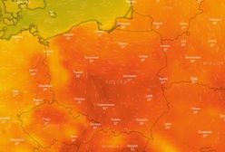 Fala upałów 2019: Nadchodzą ekstremalne upały. Pogoda zaskoczy gorącem jeszcze w tym tygodniu