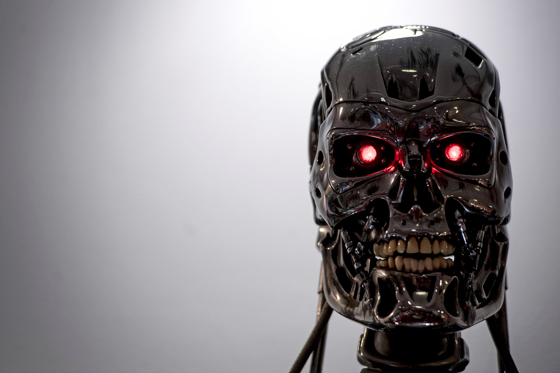 Endoszkielet Terminatora, model T-800, który wystąpił w filmie Terminator 2: Dzień Sądu (1991)