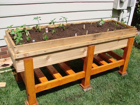 Waist High Planter Box