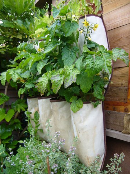 Vertical Vegetable Garden