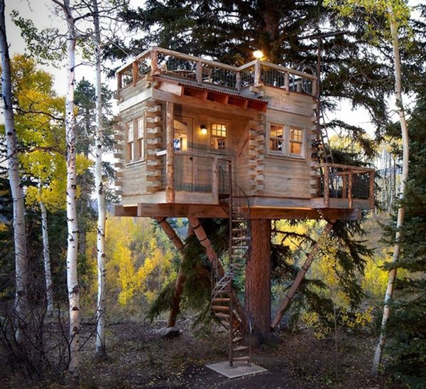 Treehouse For Grown-Ups