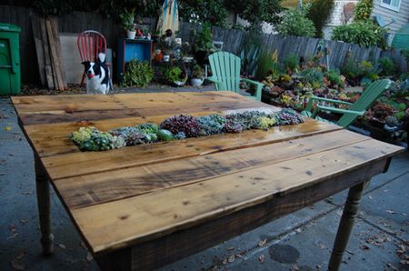 Succulent Pallet Table