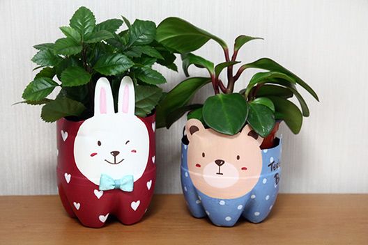 Plastic Bottle Pet Pot