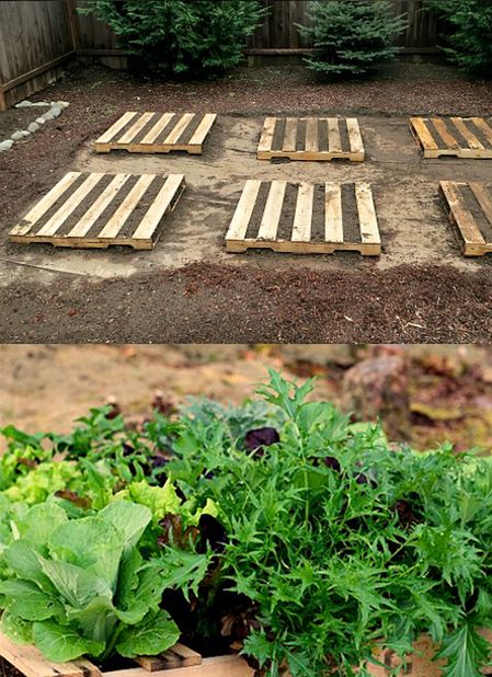 Pallet Garden