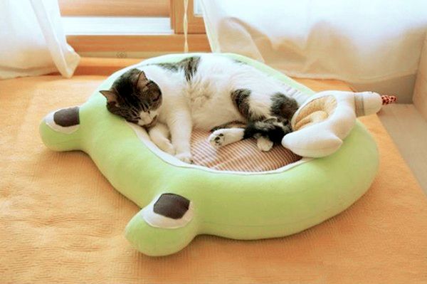 Frog-Shaped Bed for a Cat