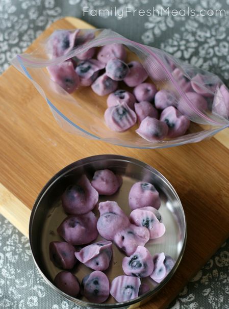 Frozen Yogurt Blueberries