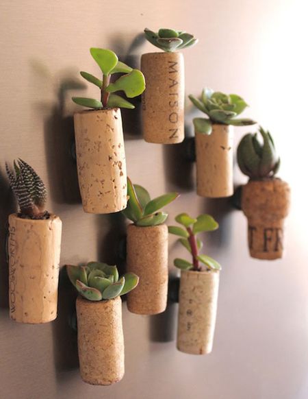 Cork Planters