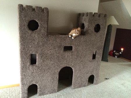 Cat Castle