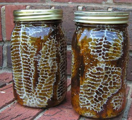 Beehive In A Jar