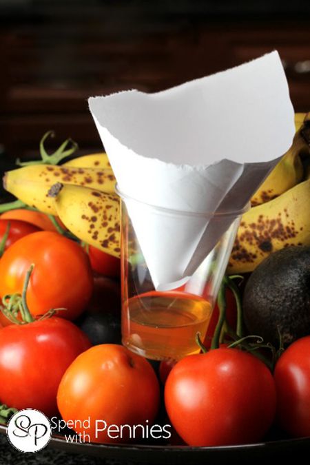Anti-Fruit Flies Solution