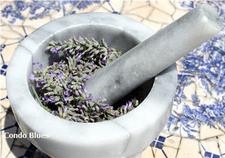 Lavender Extract