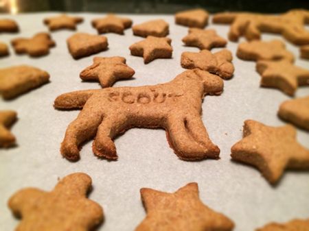 Homemade Dog Treats