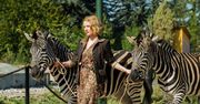 Historia Żabińskich zasługuje na lepszy film. W "Azylu" klisza goni kliszę [RECENZJA]