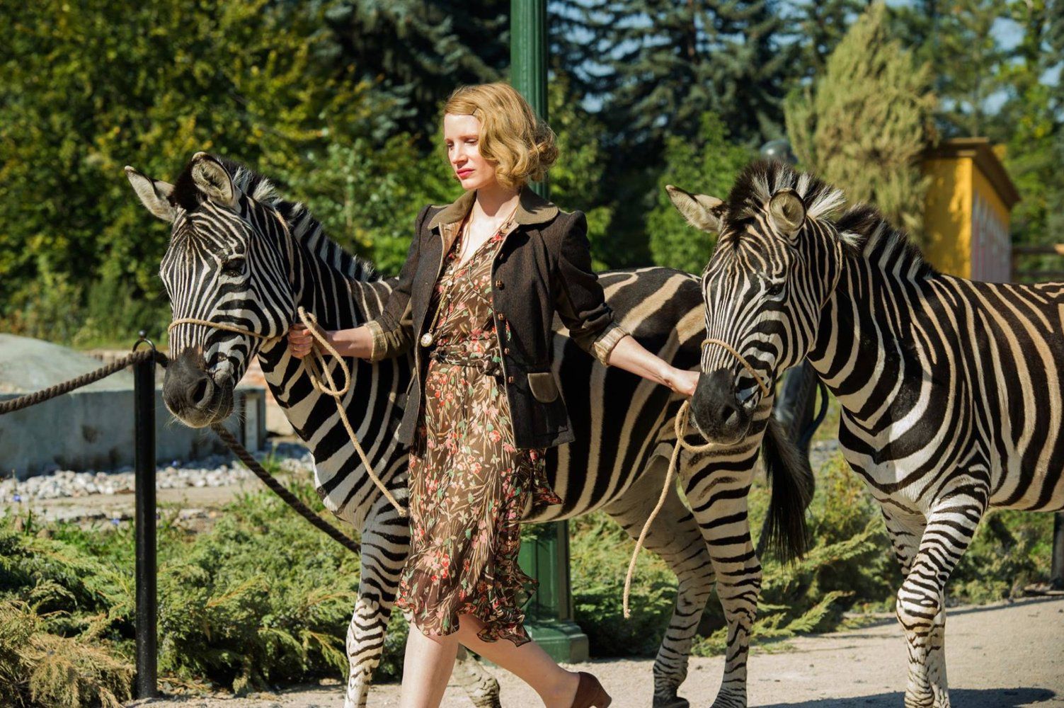 Jessica Chastain jako Antonina Żabińska 