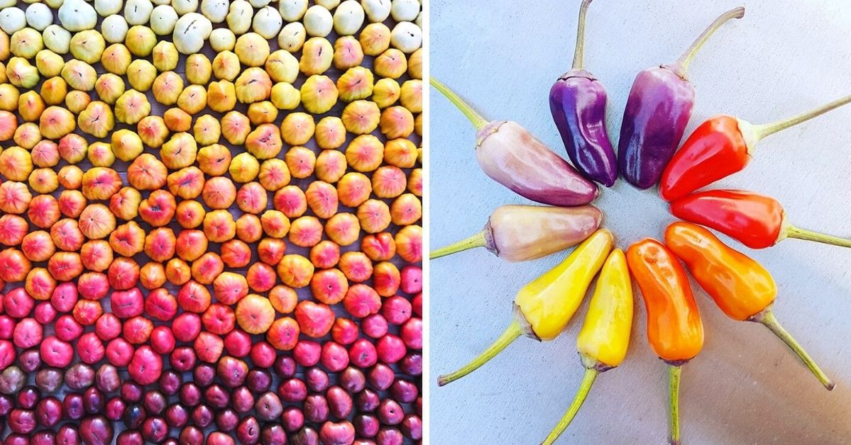 21 Outstanding Photos of Groceries With Amazing Symmetry and Colors