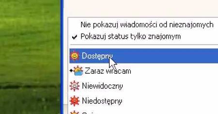 Gadu-Gadu zmienia status na "niewidoczny". Firma wycofuje się z kupna