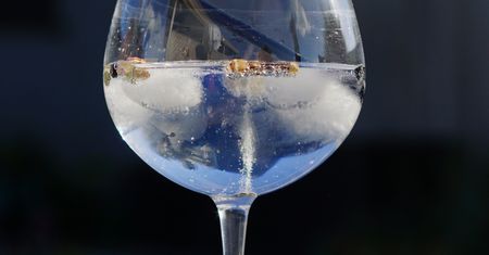 Bez niego nie ma słynnych drinków. Co wiesz o ginie?