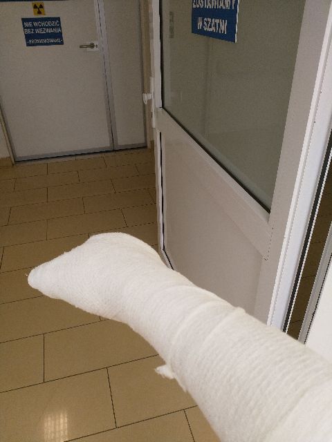 Obraz