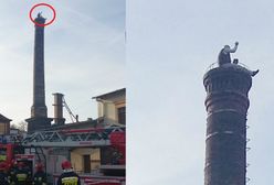 Siedział na kominie i rzucał cegłami w policjantów. Zatrzymanie mężczyzny przypomniało scenę z filmu