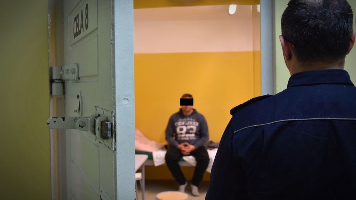 37-letni kierowca volkswagena zostawił ofiarę wypadku na jezdni. Myślał, że potrącił psa.