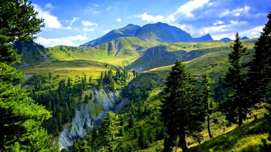 Góry to także ogromne połacie zieleni, dające wytchnienie od codzienności