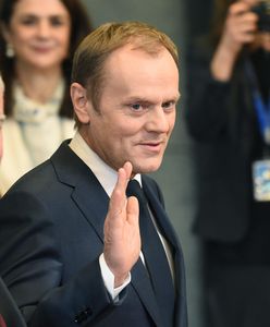 Donald Tusk wraca? "Polecił Grasiowi zrobić przegląd struktur PO"