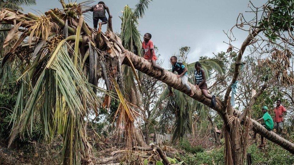 Dzieci na drzewie po przejściu cyklon Idai