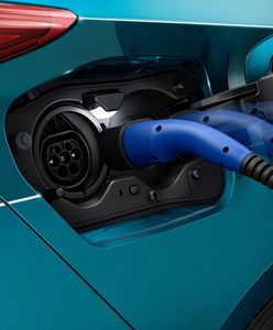 Toyota i Mazda zawarły umowę o partnerstwie. Czy powstanie godny konkurent Tesli?