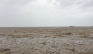 Zaskakujące skutki huraganu Irma. Ocean dosłownie zniknął