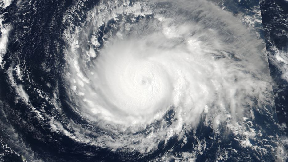 Huragan Irma zniszczył na Florydzie 1,5 mln domów mieszkalnych a 82 osoby pozbawił życia.