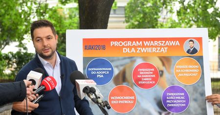 1000 zł dofinansowania do adopcji psa lub kota. Burza wokół obietnicy Patryka Jakiego