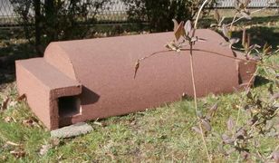 W Rybniku powstanie schronisko. Niezwykłe, bo dla jeży!