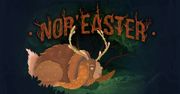 Nor'easter - wywiad z Dominiką, Adamem i Łukaszem z Redi Games