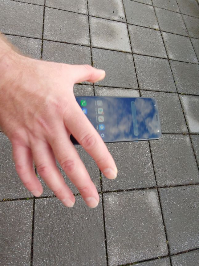 289811663138159610