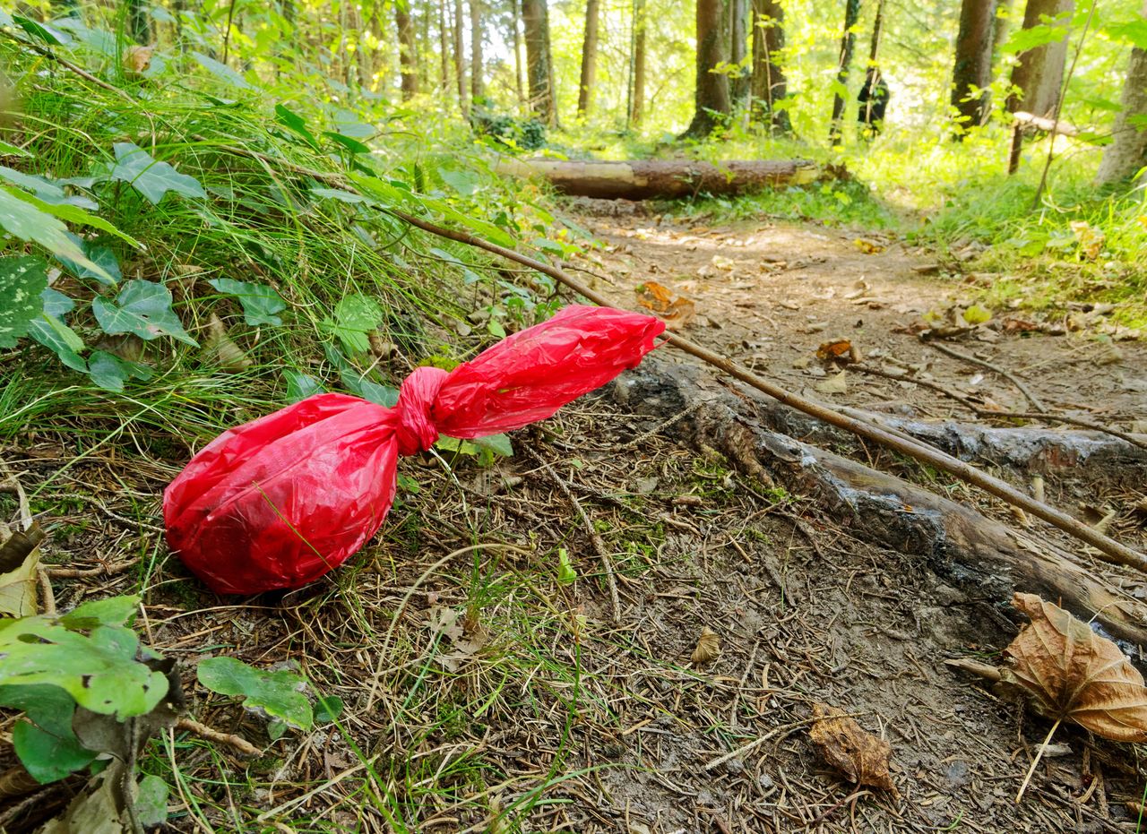 „Groźny” monotlenek diwodoru rozpylony na trawniku w Poznaniu