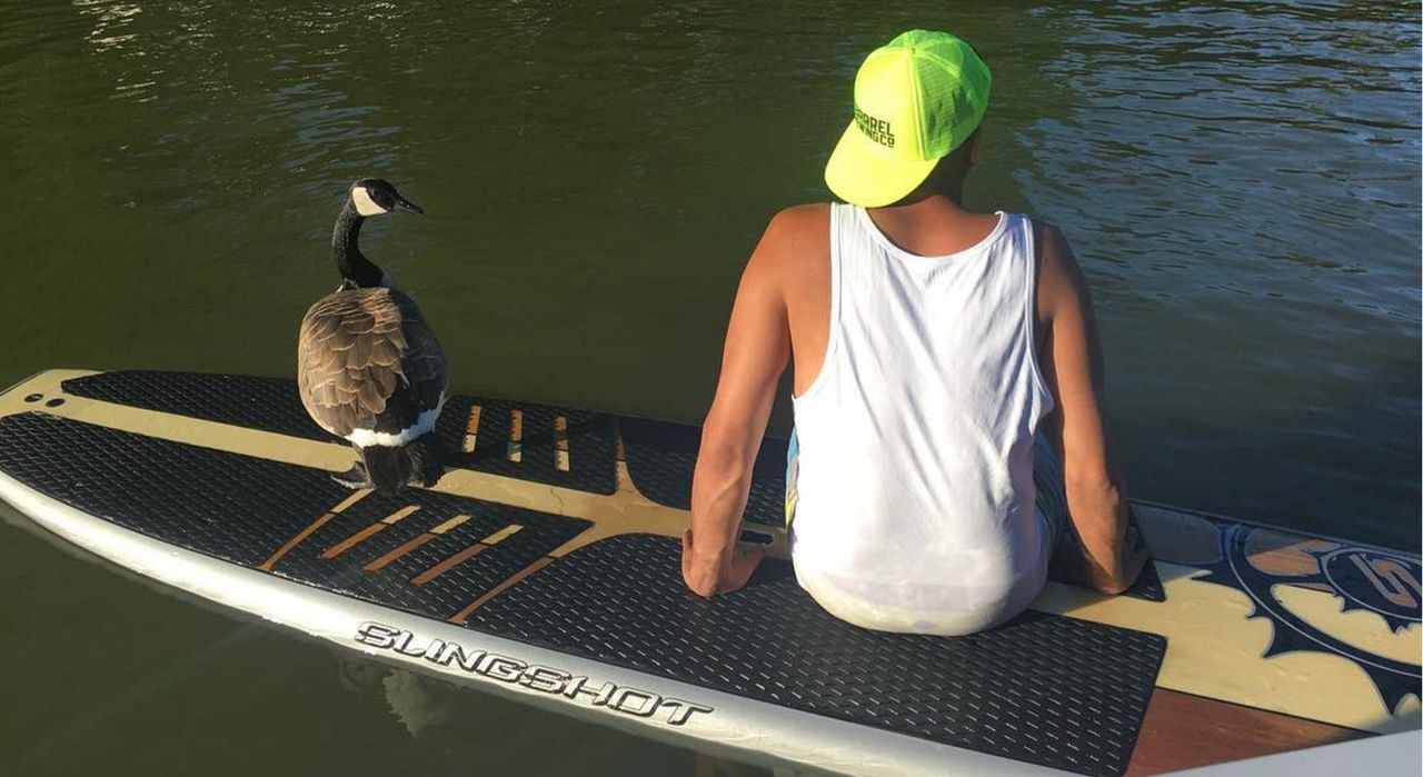 Uratował ją 2 lata temu. Teraz nie odstępuje go na krok