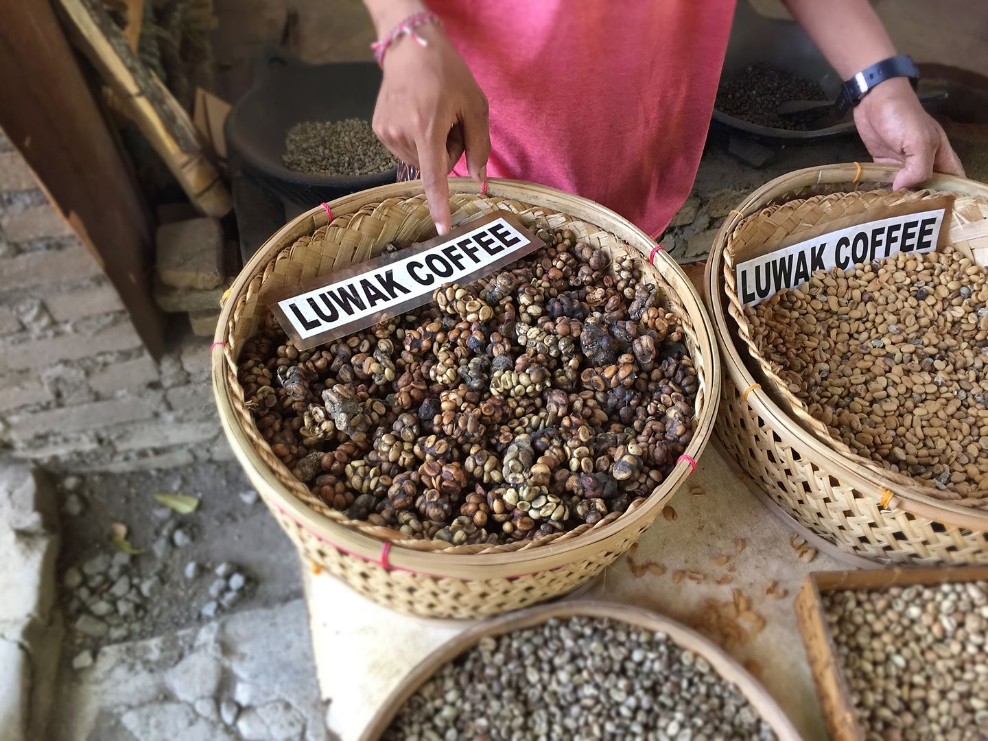 Kawa kopi luwak