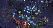 Skandal hazardowy w Starcrafcie!