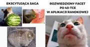 21 memów z kotami w roli głównej, które każdego doprowadzą do wybuchu niekontrolowanego śmiechu