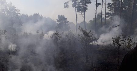 Koronawirus w Polsce. Kontrowersje wokół zakazu wstępu do lasów