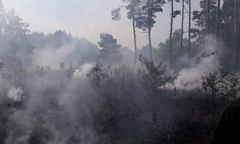 Gorzów Wielkopolski. Pożar lasów koło Marwic i Santocka. W akcji pięć samolotów gaśniczych