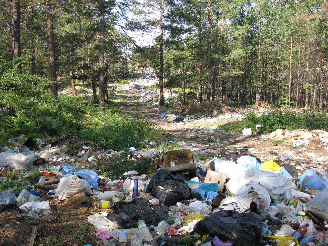 Plastik w lesie rozkłada się 450 lat. A dzikie wysypiska dalej są problemem