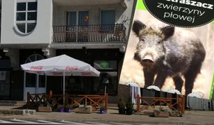 "Śmierdzące bitwy" nad morzem. Środek na dziki poszedł w ruch nie tylko w Świnoujściu