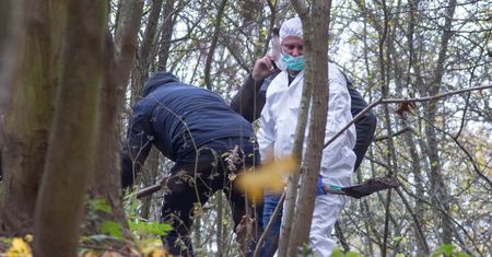 Makabryczne odkrycie w Ciecierzynie-Piekle. Szokujące ustalenia