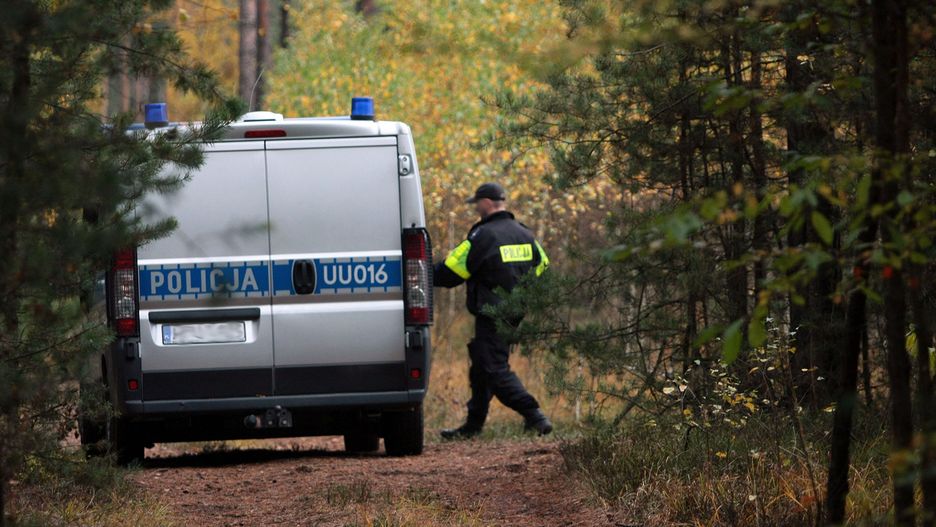 Puszcza Notecka. Policja poszukuje podejrzanego ws. podpalenia