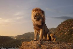 "Król lew": Pierwsze reakcje po prapremierze filmu